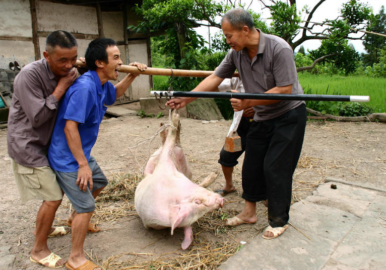 养猪技巧：买猪人与卖猪人的心