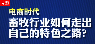 电商时代，畜牧行业如何走出自己的特色之路？