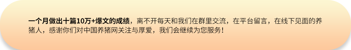 一个月做出十篇10万+爆文的成绩