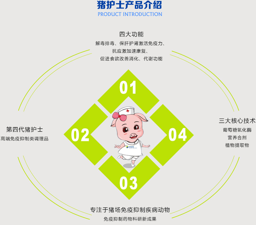 产品介绍
