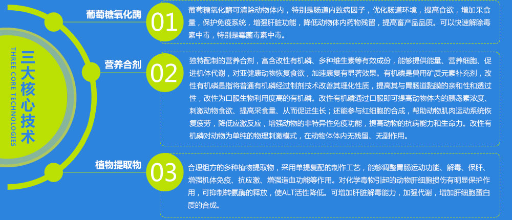 核心技术