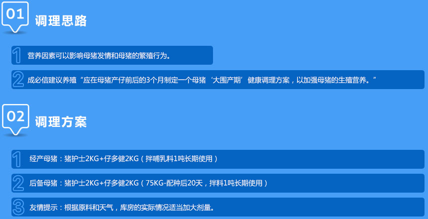 母猪PSY