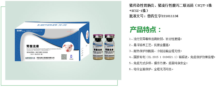 胃腹流康