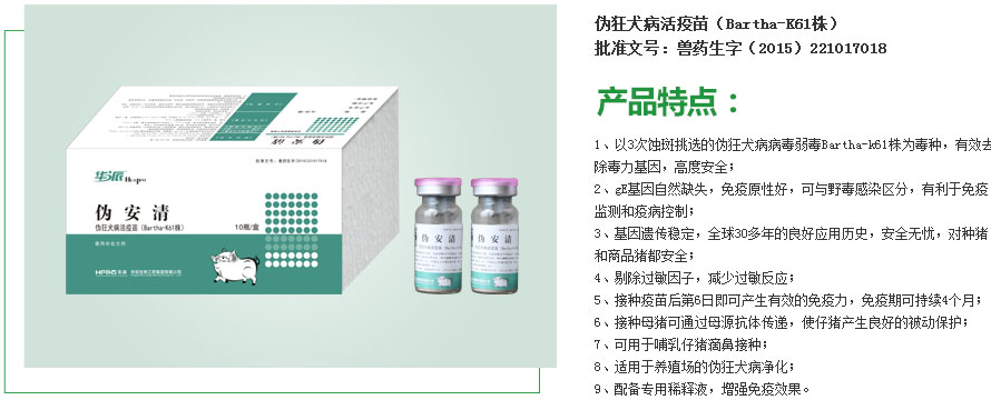 伪安清