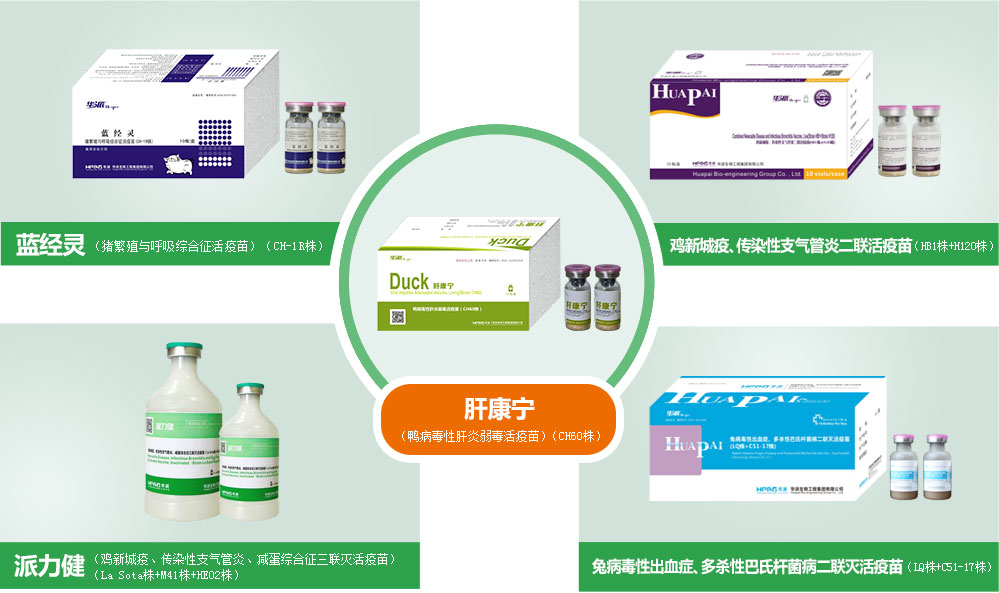 更多产品