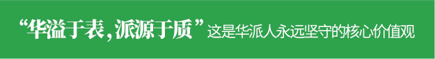 公司介绍