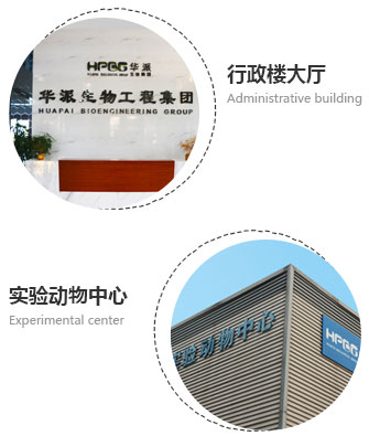 公司介绍