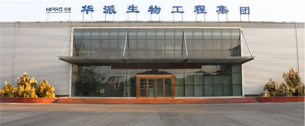公司楼栋