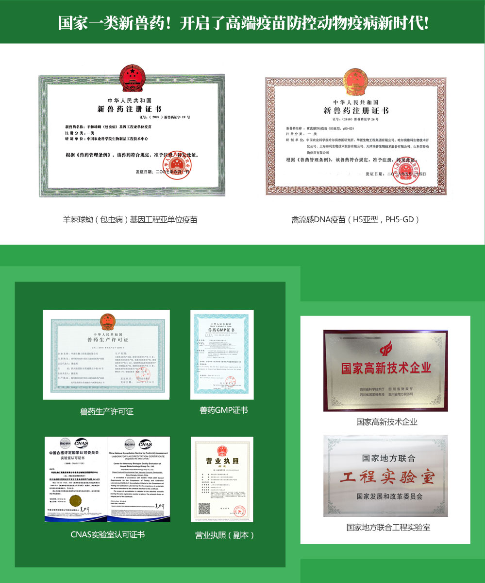 荣誉资质