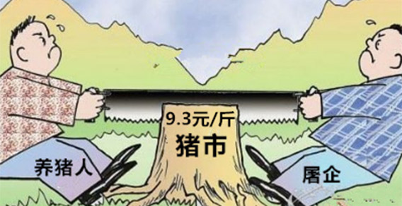 供需不能完全决定行情 猪价将维持在9.3元/斤