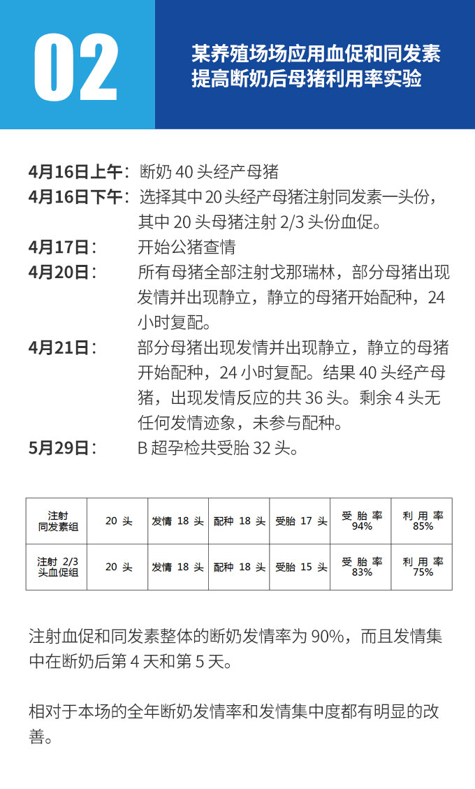 某养殖场场应用血促和同发素提高断奶后母猪利用率实验