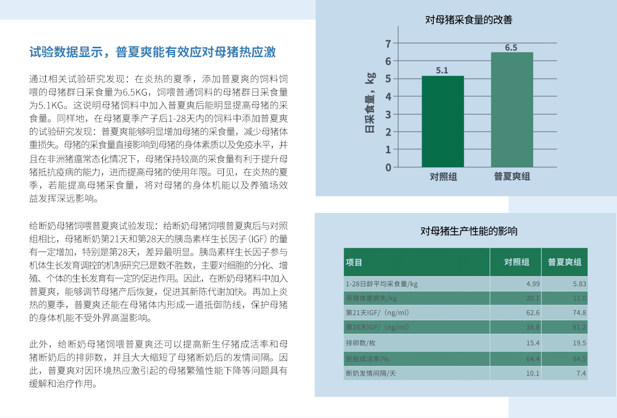 夏季不用慌,有我普夏爽