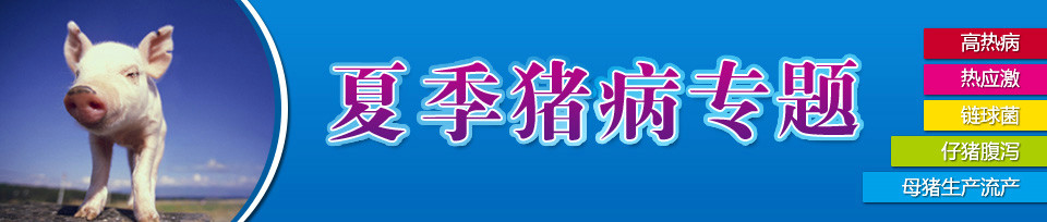 打击假冒伪劣商品,维护消费者合法权益-中国养猪网专题