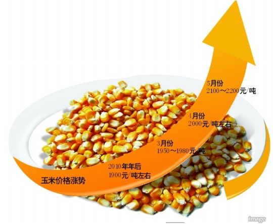 饲料价格两月内涨七次