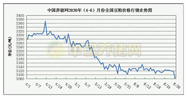 中国养猪网