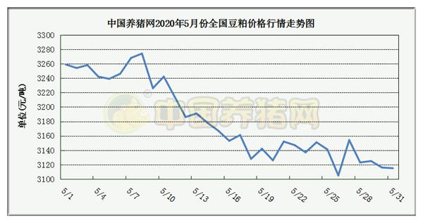 中国养猪网