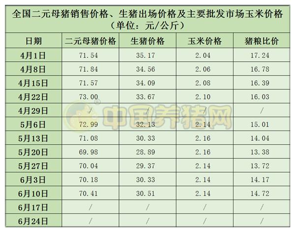 中国养猪网