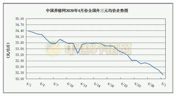 中国养猪网