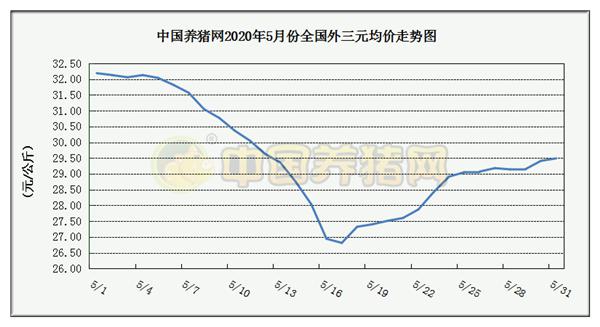 中国养猪网