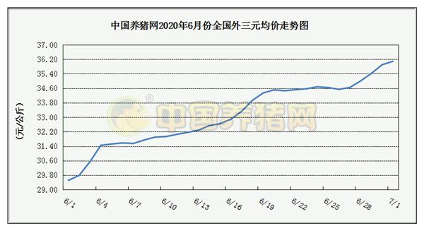 中国养猪网