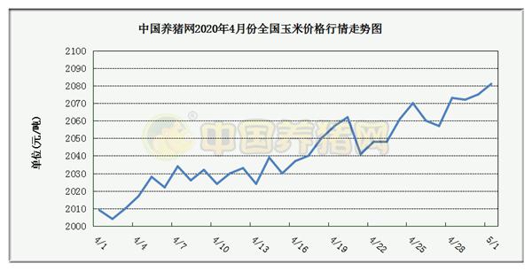 中国养猪网