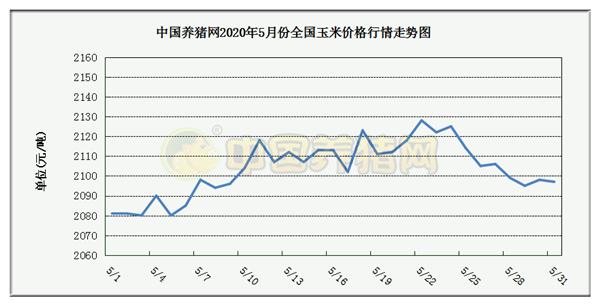 中国养猪网