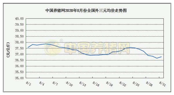 中国养猪网