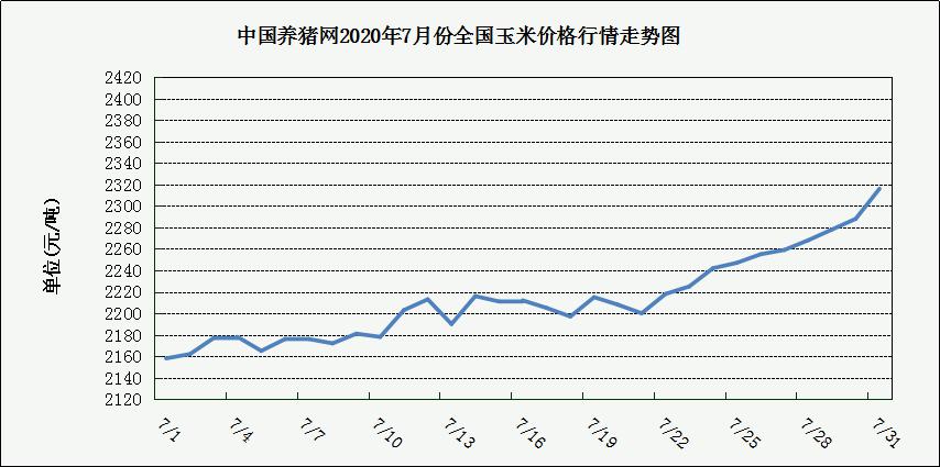 中国养猪网