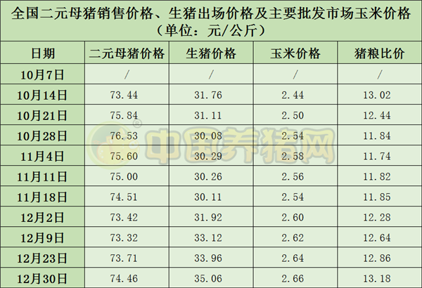 中国养猪网