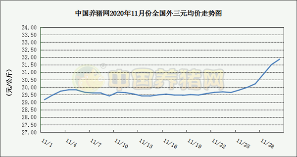 中国养猪网