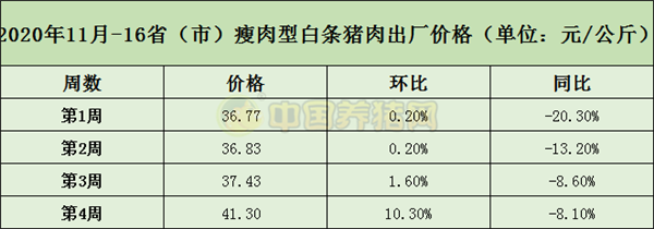 中国养猪网