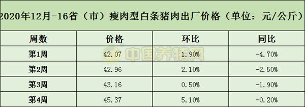 中国养猪网