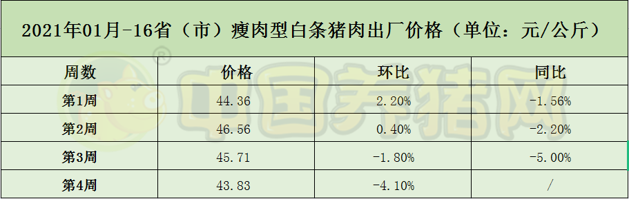 中国养猪网