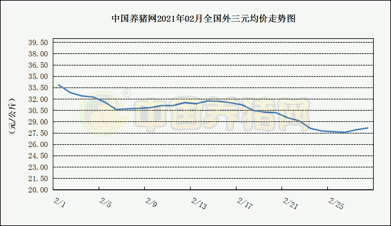 中国养猪网