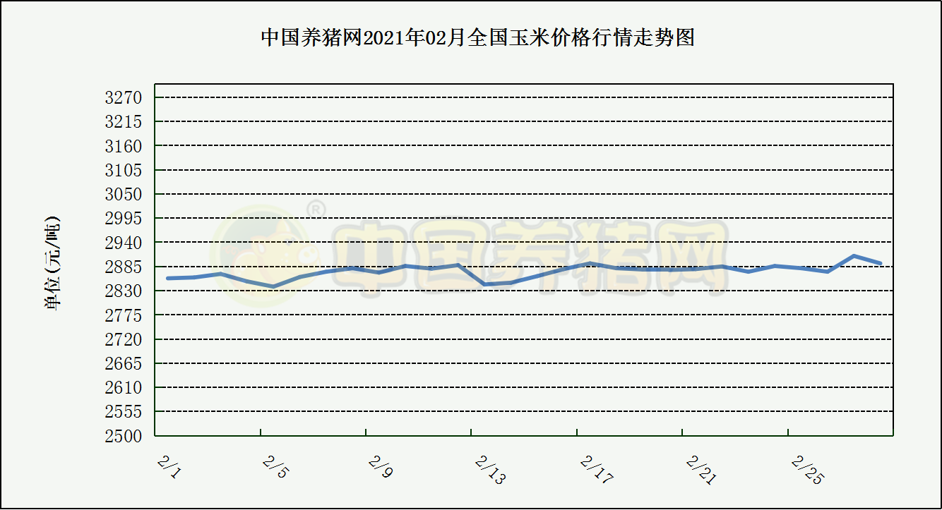 中国养猪网