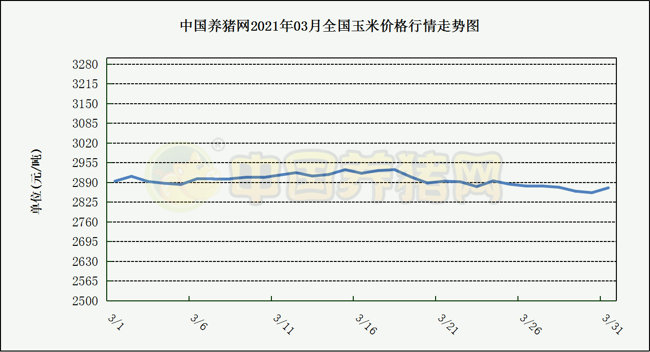 中国养猪网