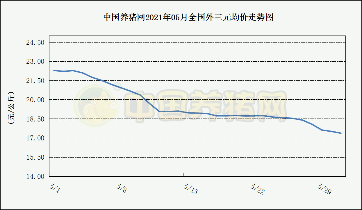 中国养猪网