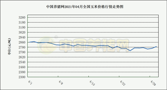 中国养猪网