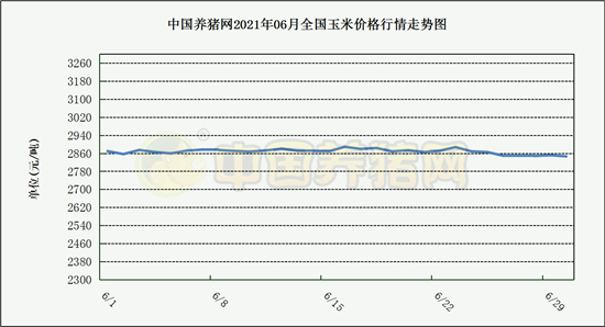 中国养猪网