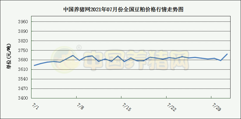 中国养猪网