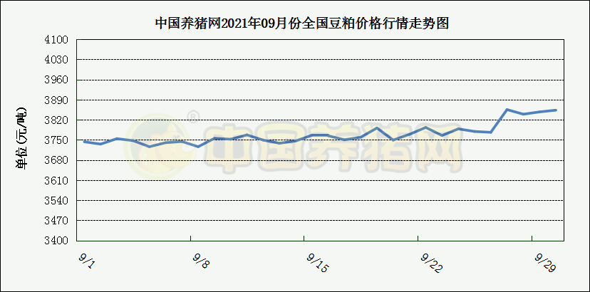 中国养猪网