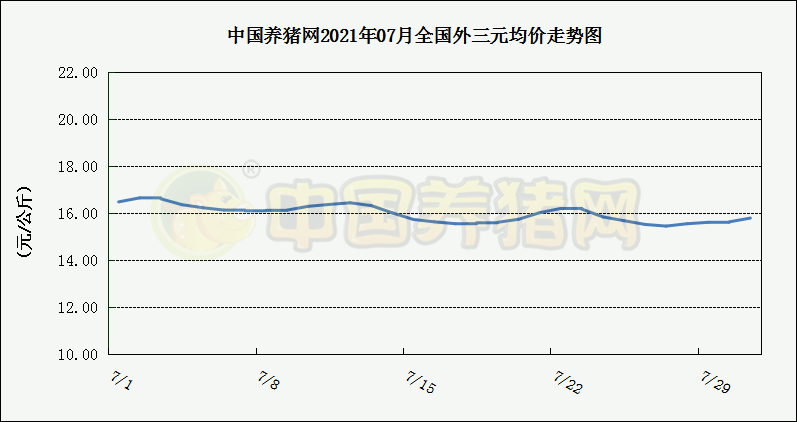 中国养猪网