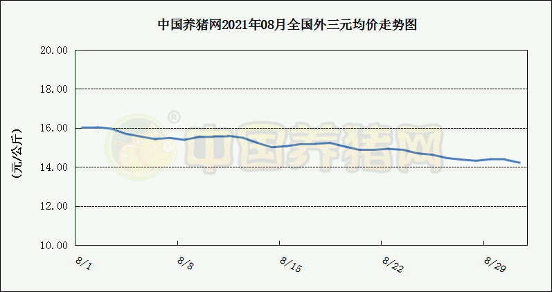 中国养猪网