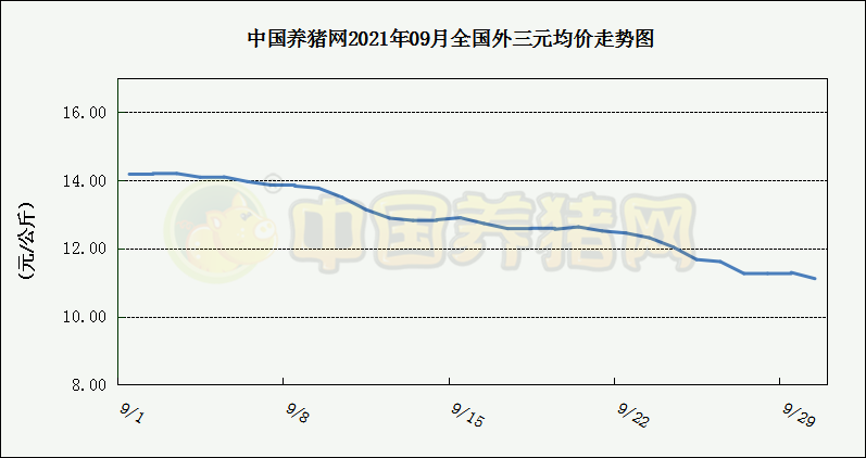 中国养猪网