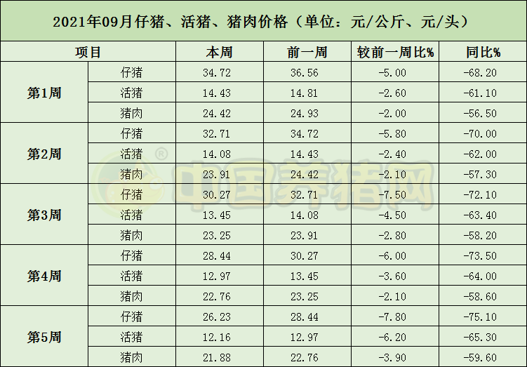 中国养猪网