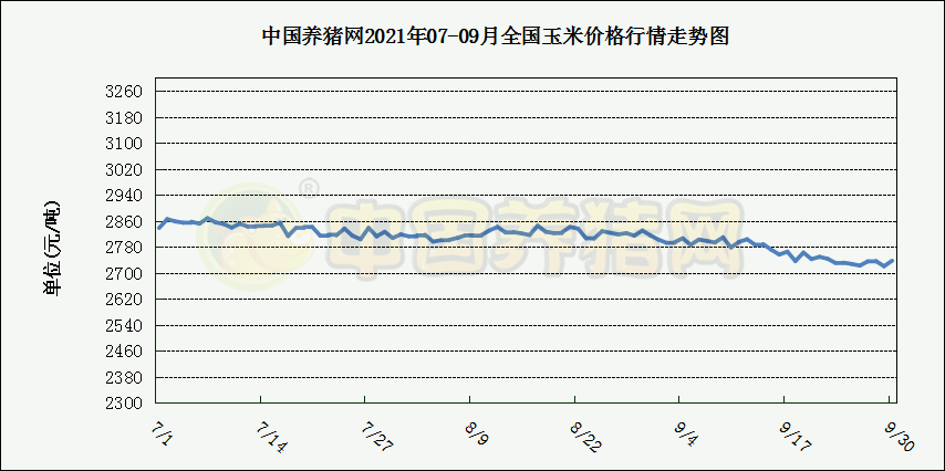 中国养猪网