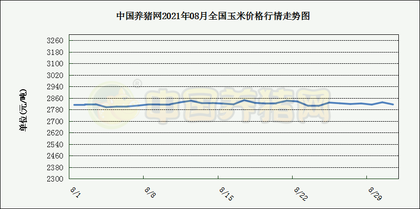 中国养猪网