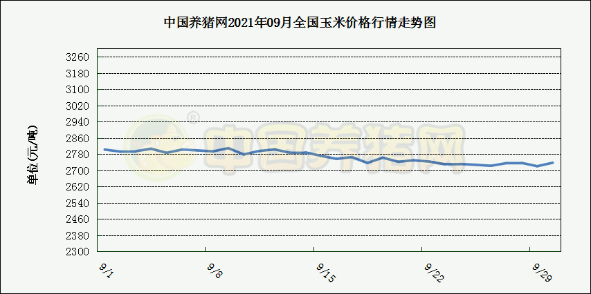 中国养猪网