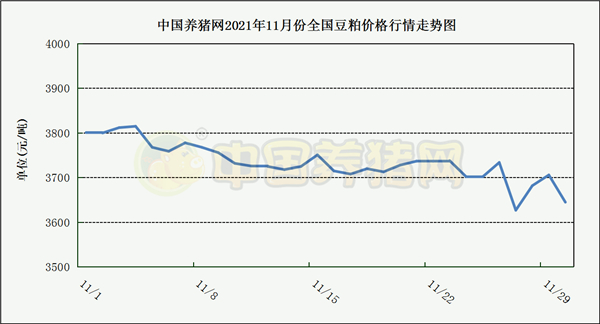 中国养猪网