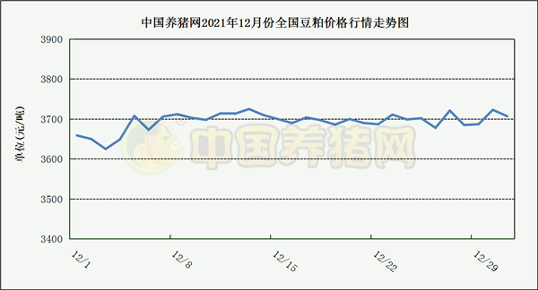 中国养猪网